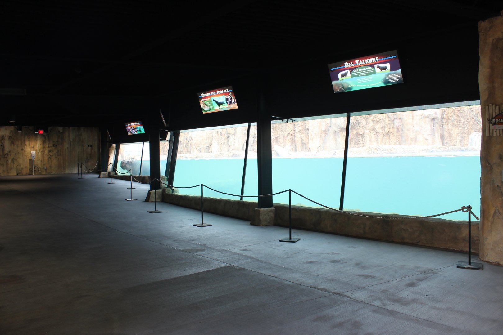 Adventure Africa - Hippo Underwater Viewing