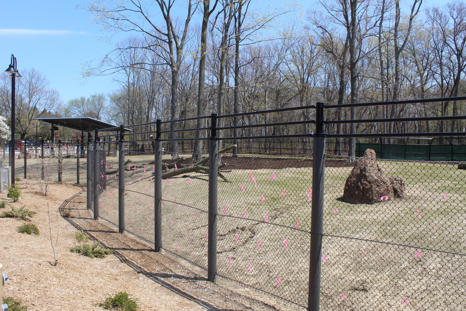 Adventure Africa - Impala Plains (Impala, Plains Zebra, West African Crowned Crane)