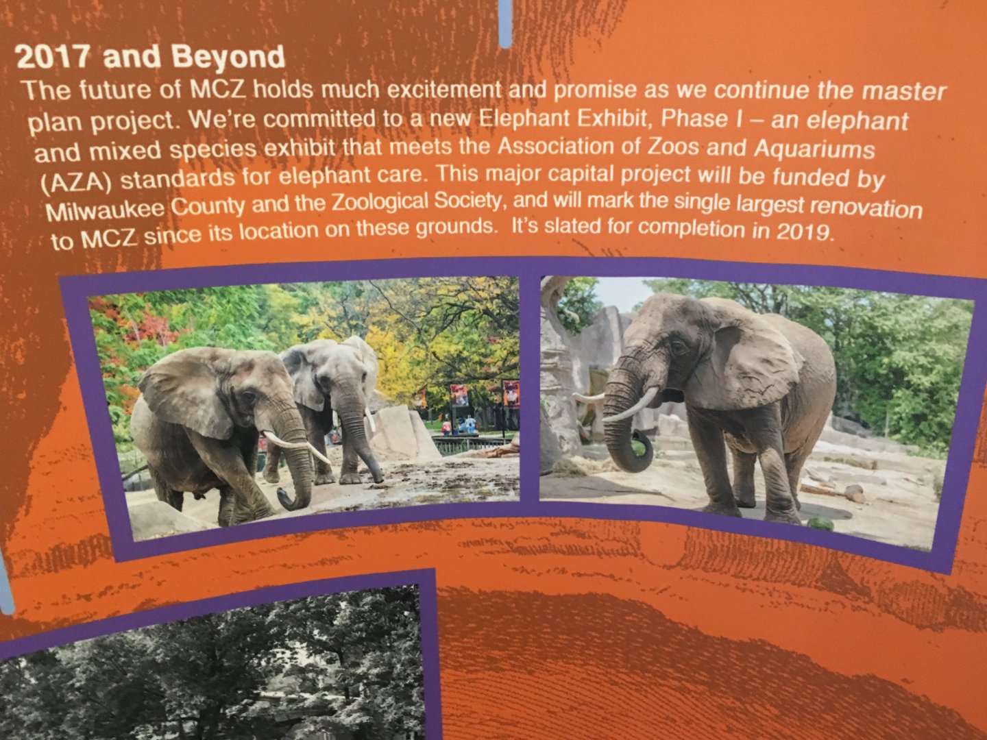 Adventure Africa Info