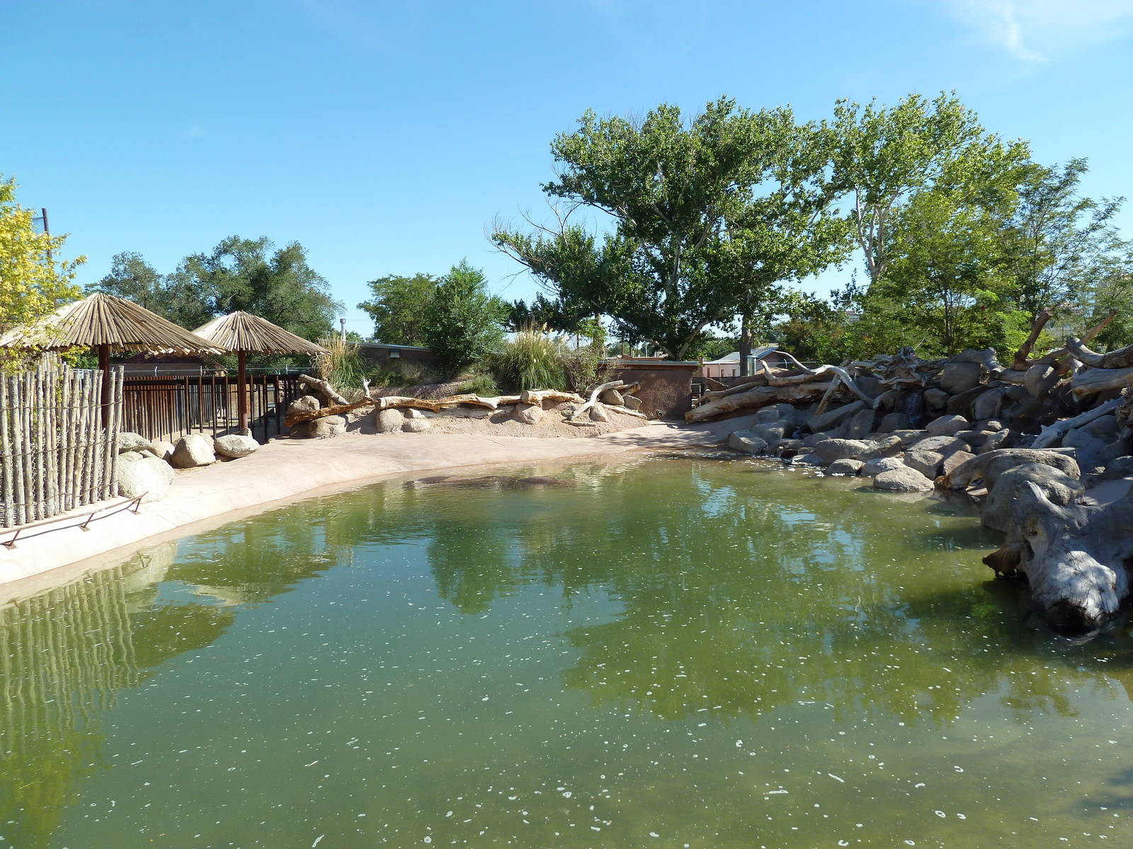 Adventure Africa - Nile Hippo Exhibit
