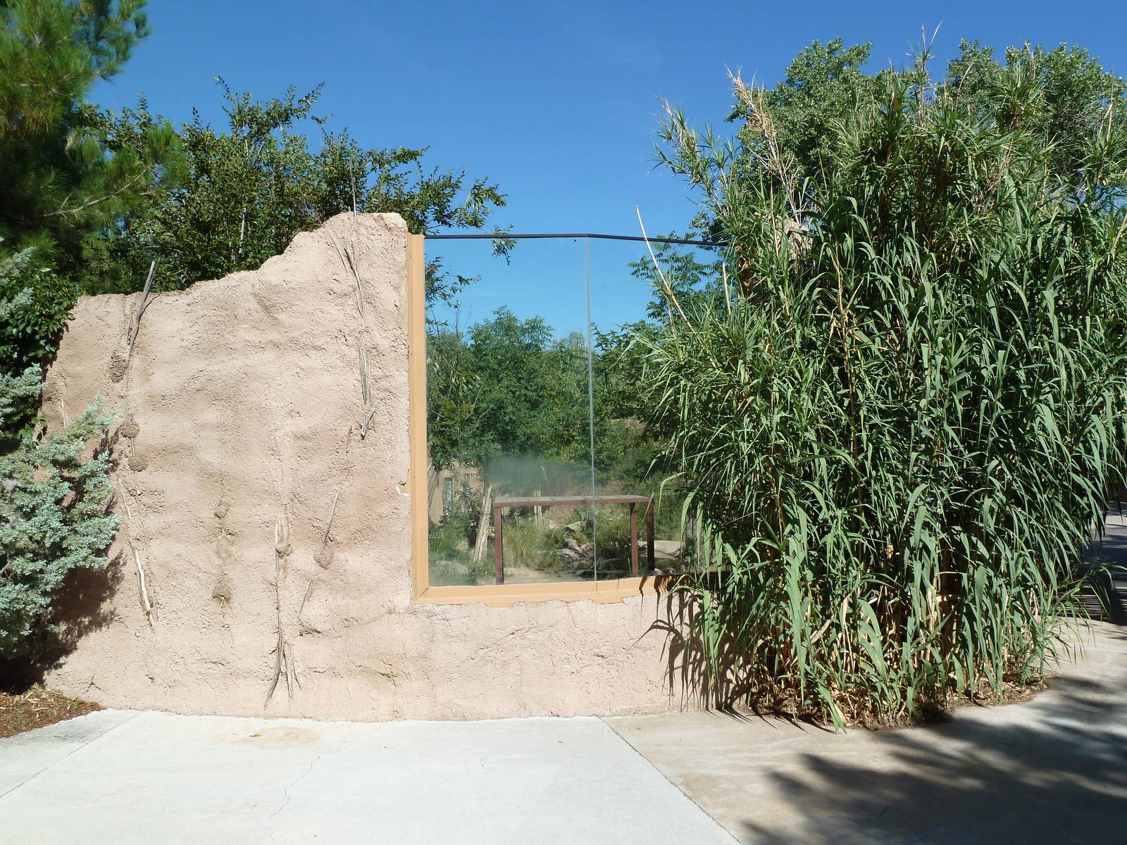 Adventure Africa - Spotted Hyena Exhibit