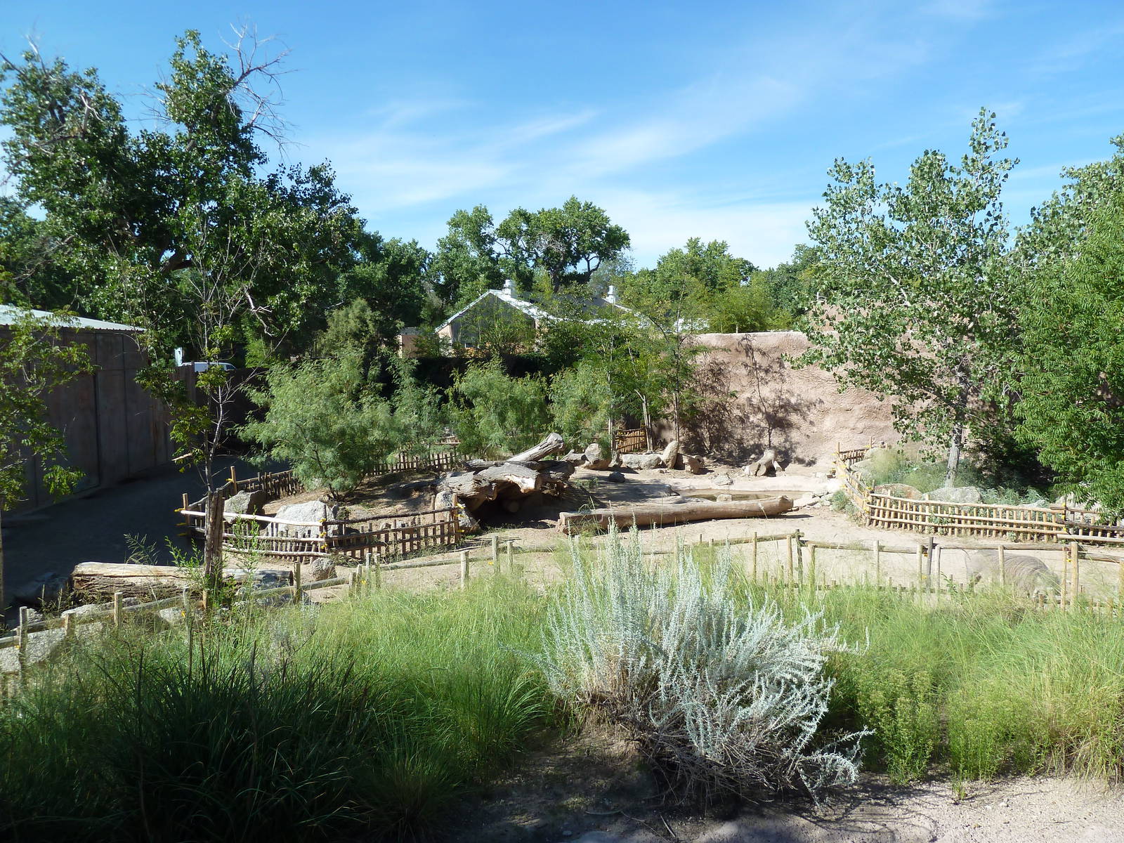 Adventure Africa - Warthog Exhibit
