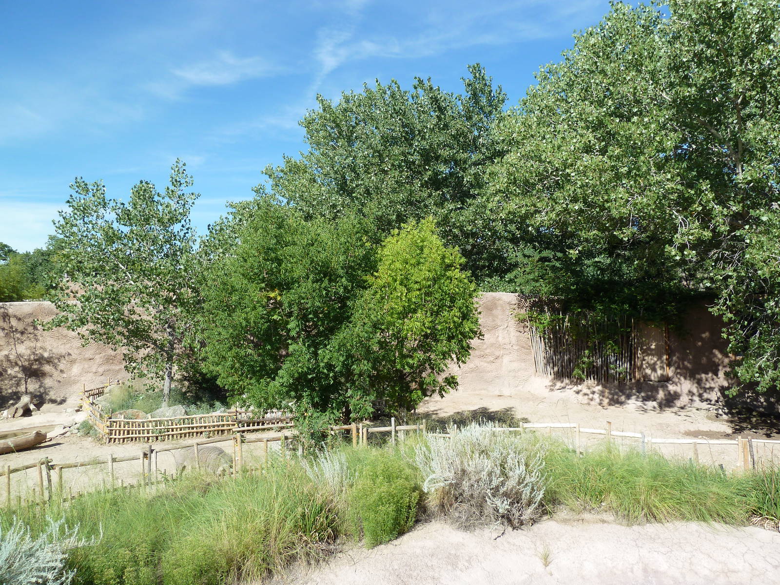 Adventure Africa - Warthog Exhibit
