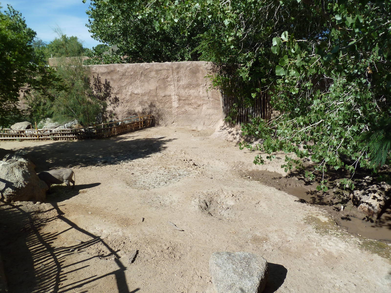 Adventure Africa - Warthog Exhibit