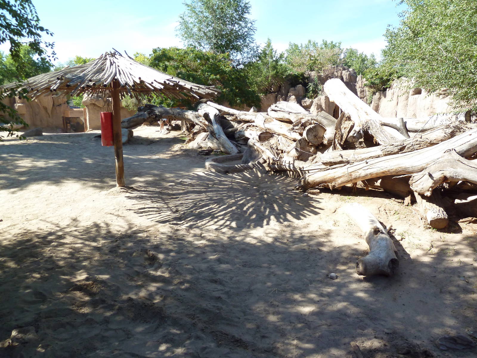 Adventure Africa - White Rhino Exhibit