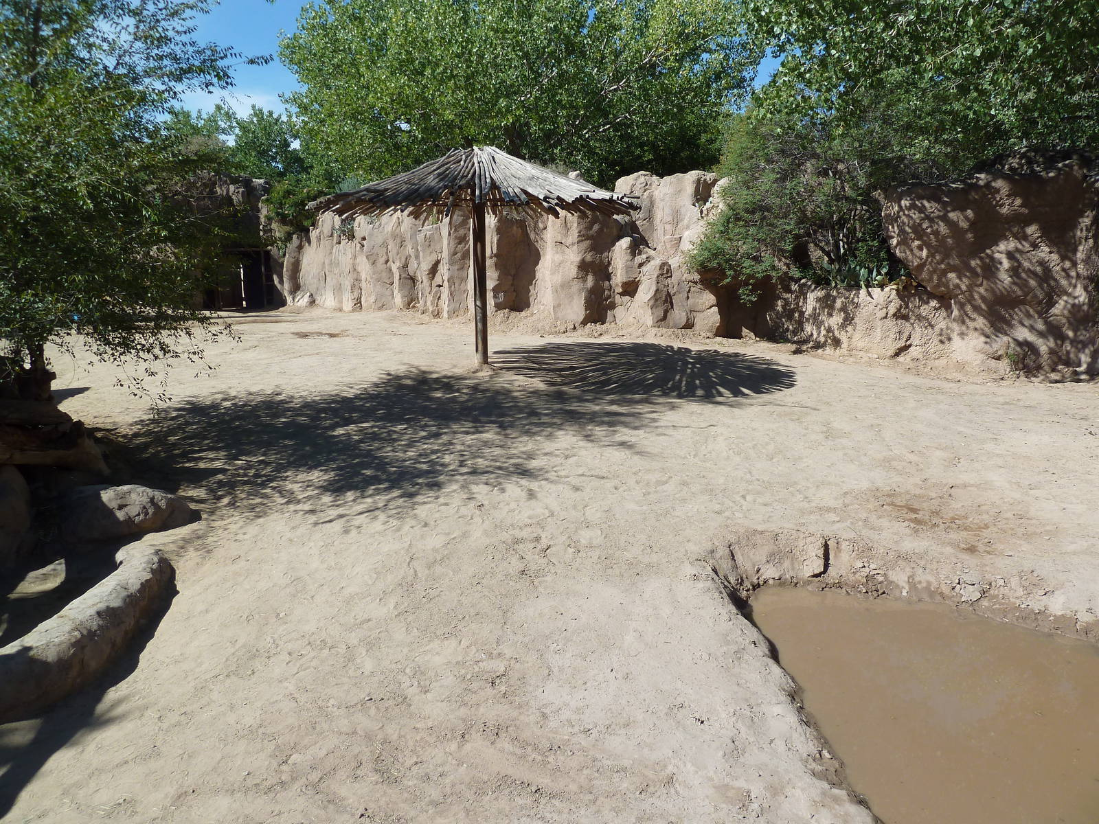 Adventure Africa - White Rhino Exhibit