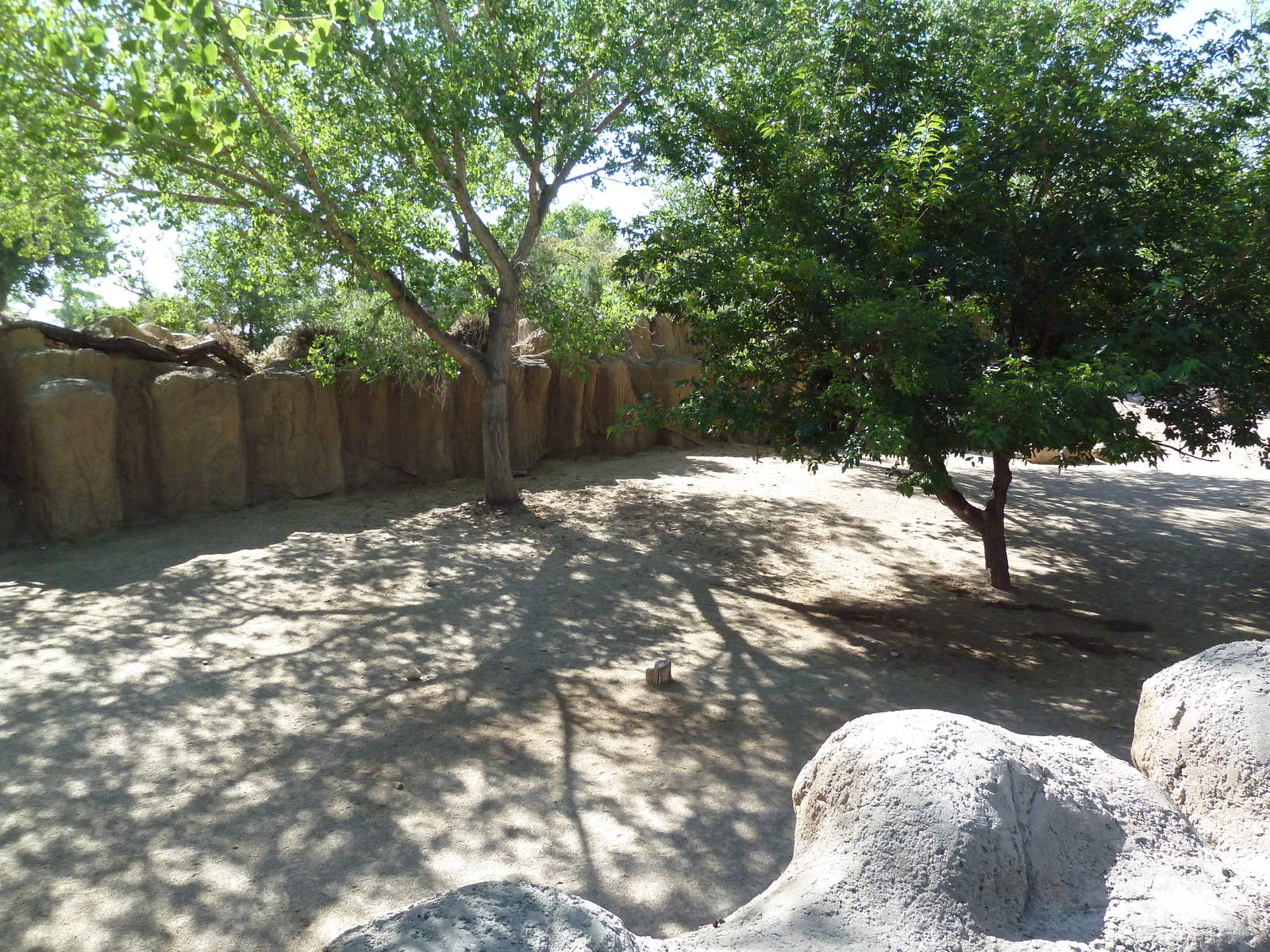 Adventure Africa - Zebra/Ostrich Exhibit