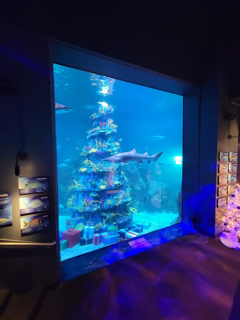 Adventure Aquarium - Christmas decor, "tallest underwater christmas tree"