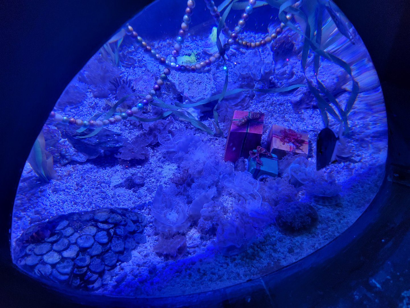 Adventure Aquarium - Christmas decor (upside down jellyfish)
