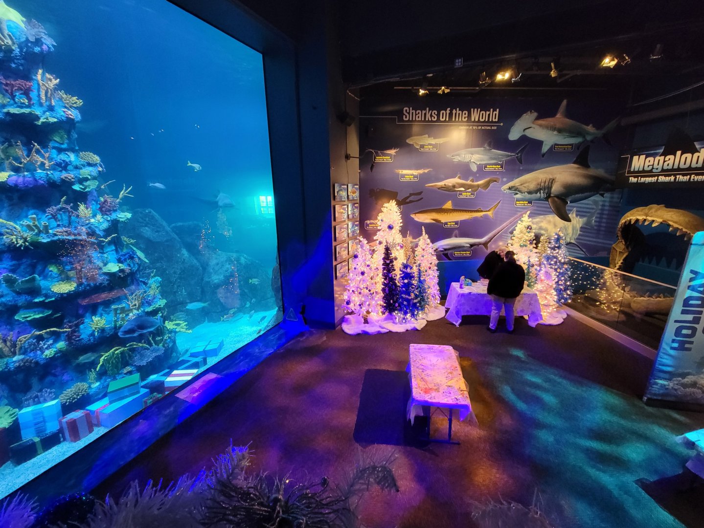 Adventure Aquarium - Christmas decor