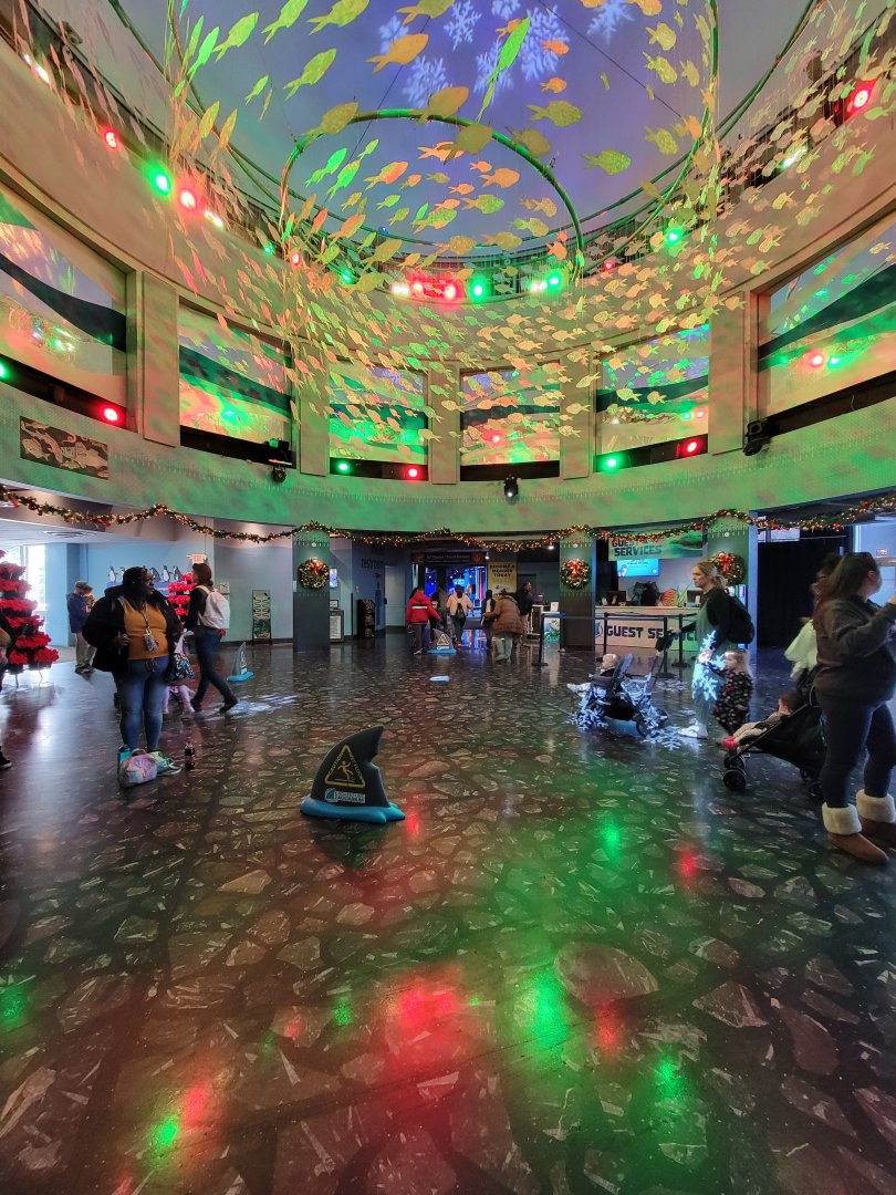 Adventure Aquarium - Christmas decor