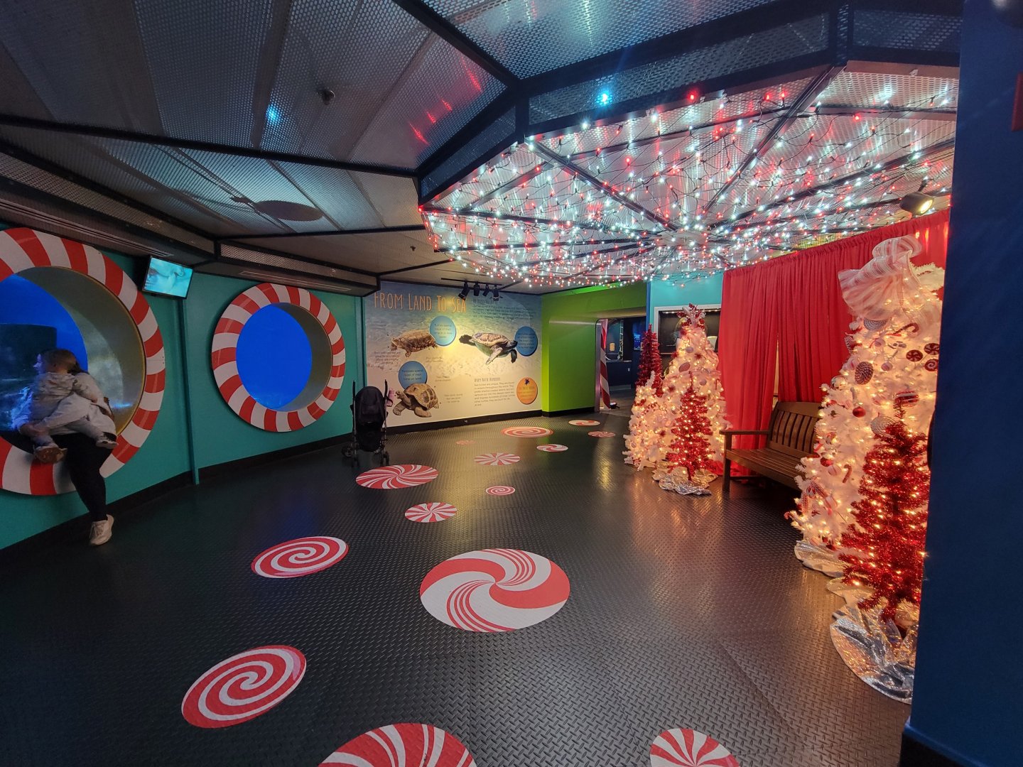 Adventure Aquarium - Christmas decor