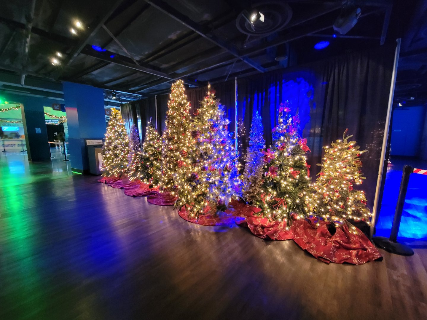 Adventure Aquarium - Christmas decor