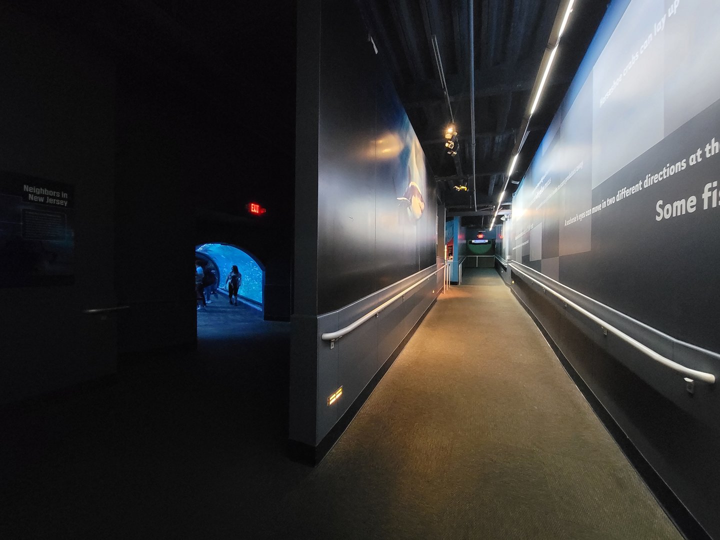 Adventure Aquarium - End of shark tunnel, path