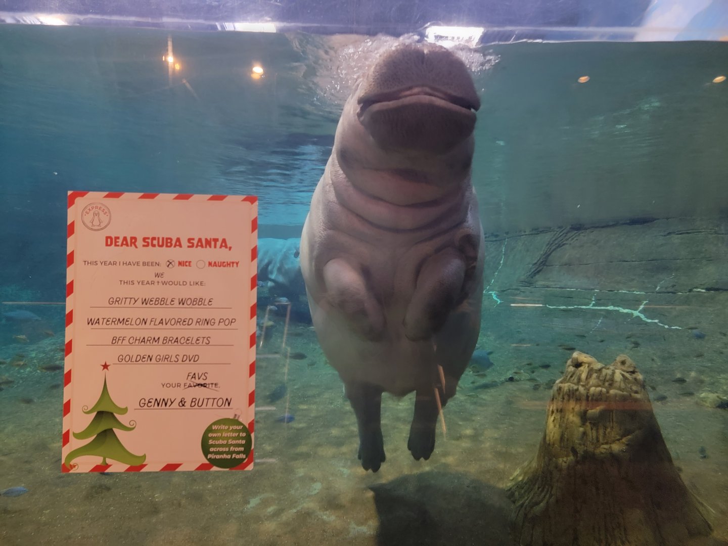 Adventure Aquarium - Hippo hops