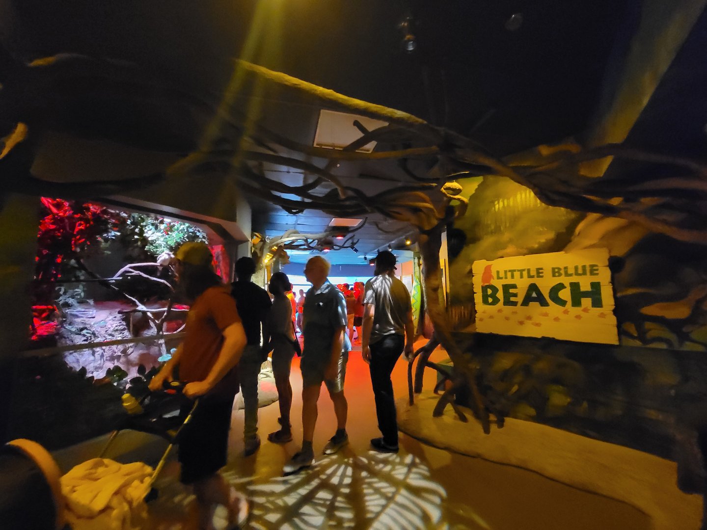 Adventure Aquarium - Little Blue Beach