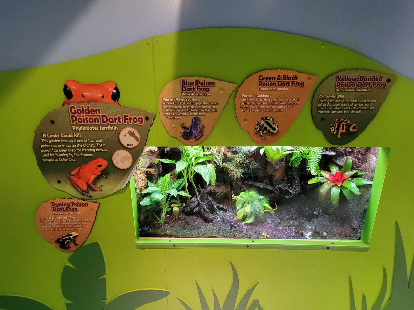 Adventure Aquarium - Mixed assortment of PDFs