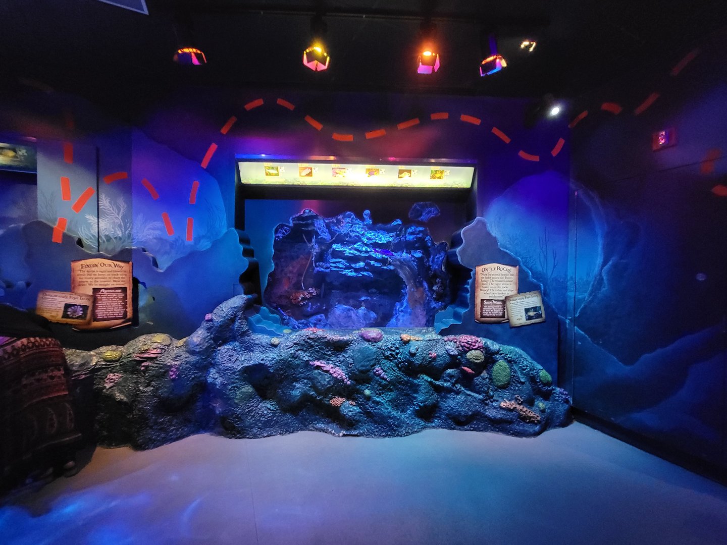 Adventure Aquarium - On The Rocks tank