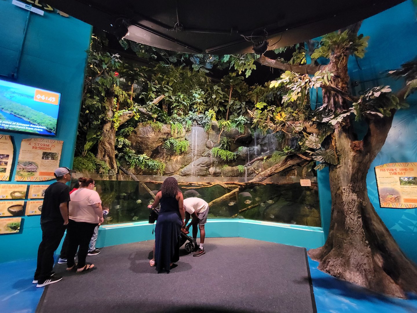 Adventure Aquarium - Piranha falls