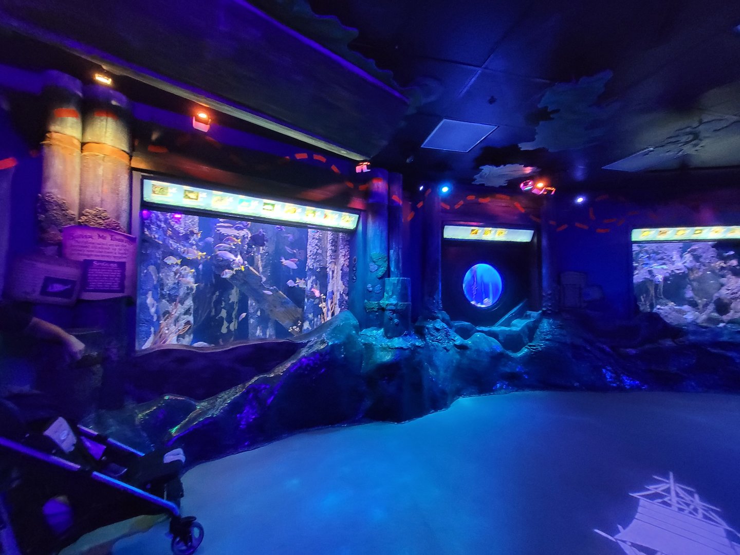 Adventure Aquarium - Pirate's Passage
