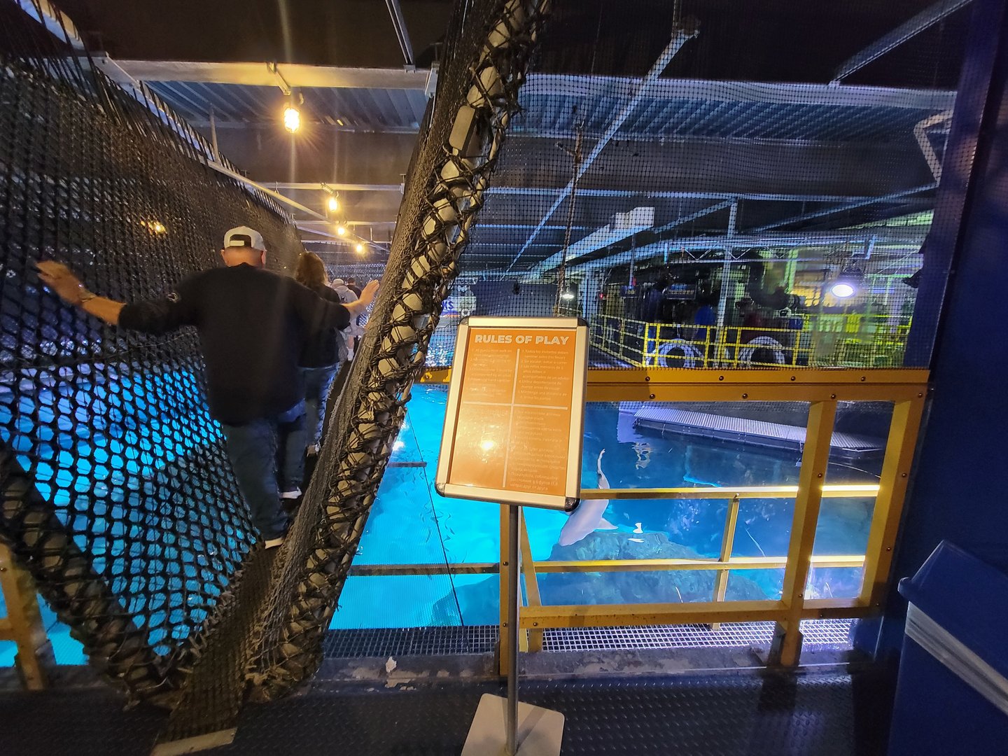 Adventure Aquarium - Shark bridge