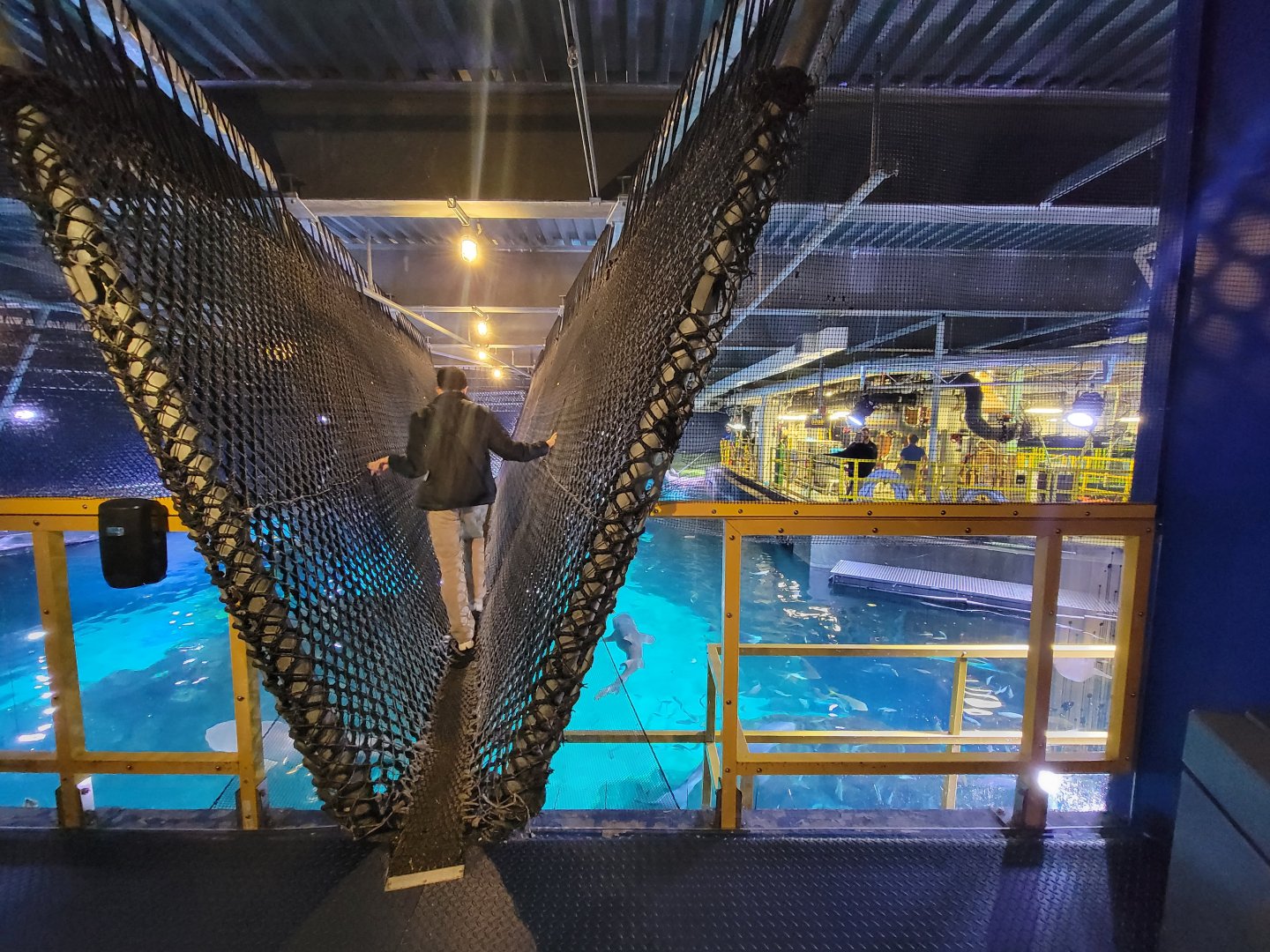 Adventure Aquarium - Shark bridge