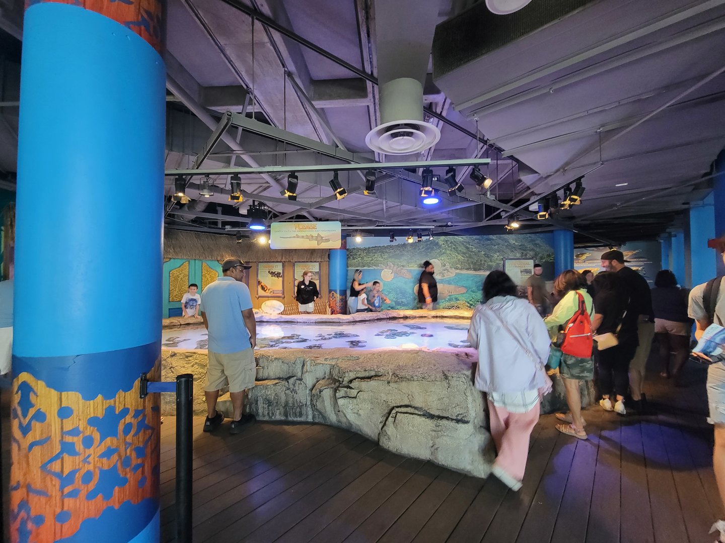 Adventure Aquarium - Shark touch tank