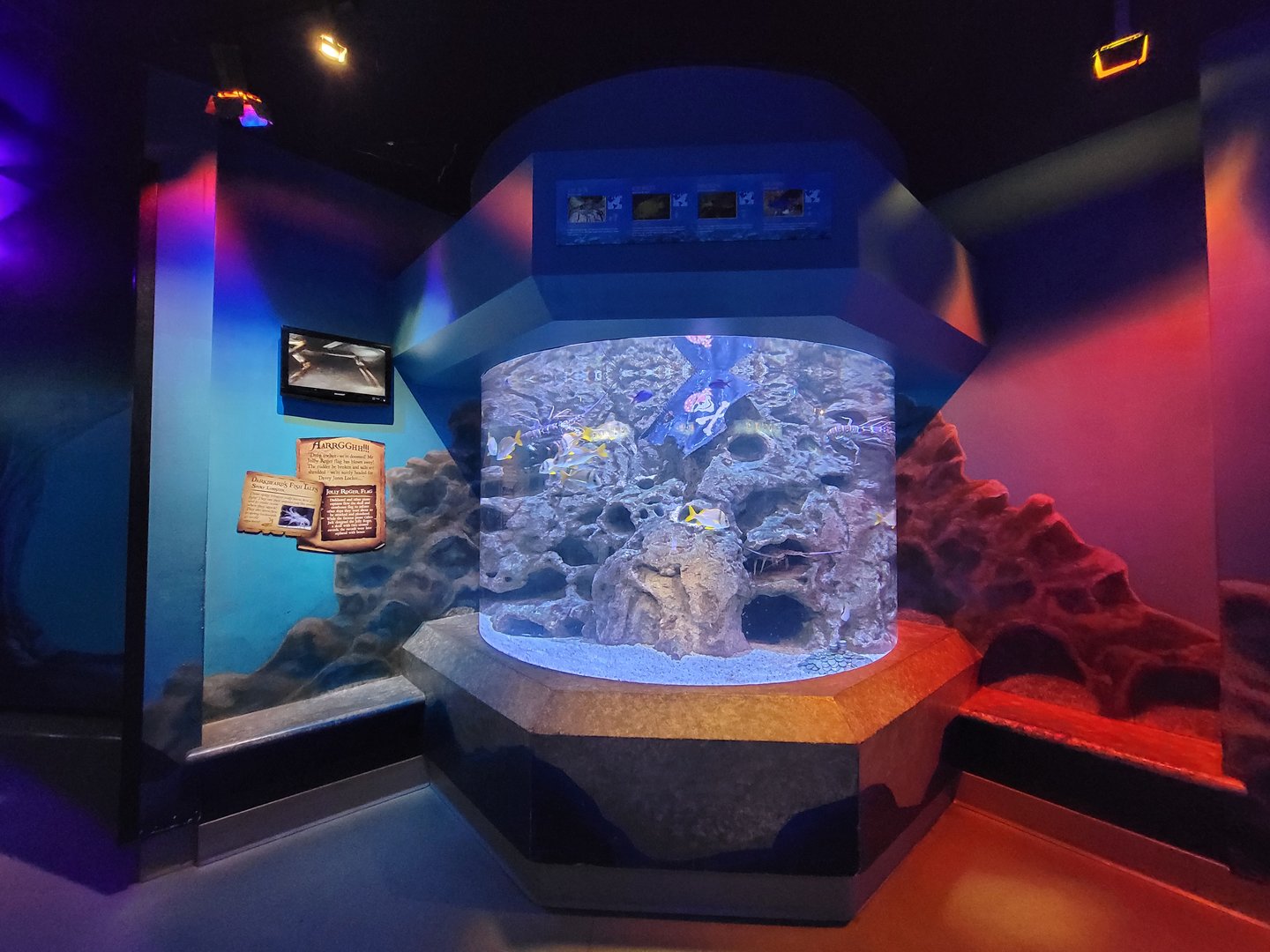 Adventure Aquarium - Spiny lobster tank