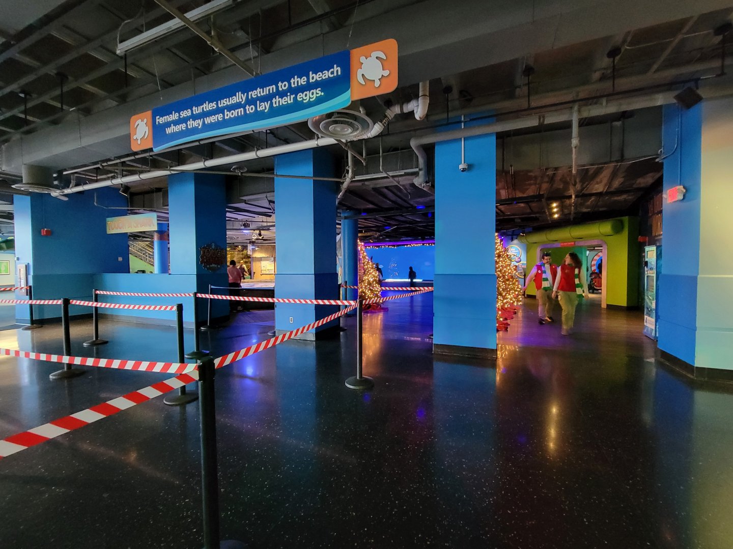 Adventure Aquarium - You must stand in line to view the hammerhead tank window closer to the rotunda
