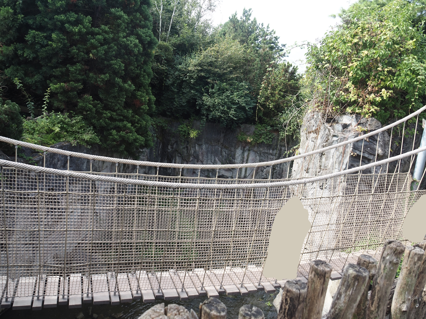 Adventure bridge near Kodiak Falls, waterfall in Kamchatka brown bear exhibit, 2024-08-05