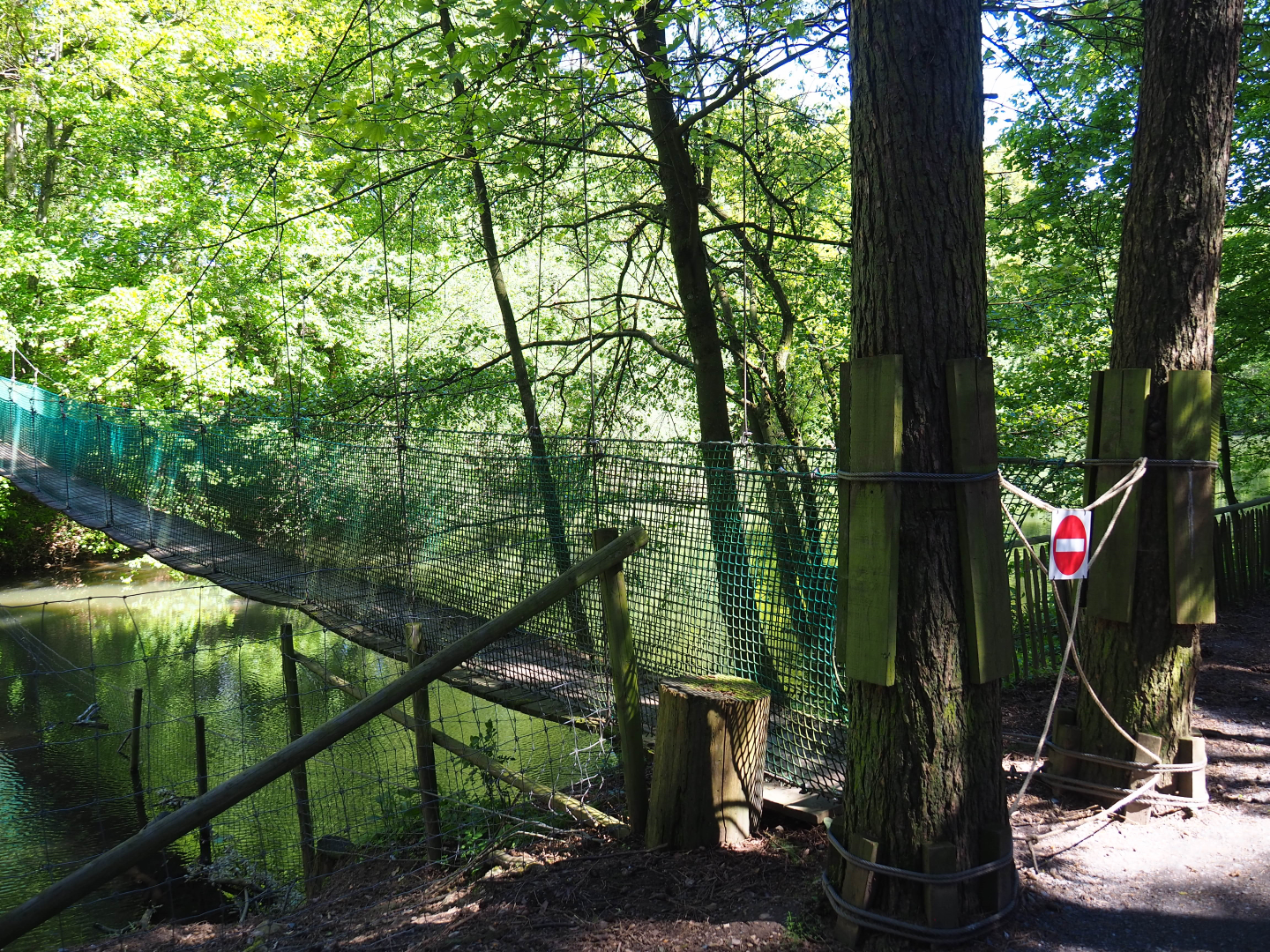 Adventure bridge over forest lake (Closed due to Covid), 2021-05-29