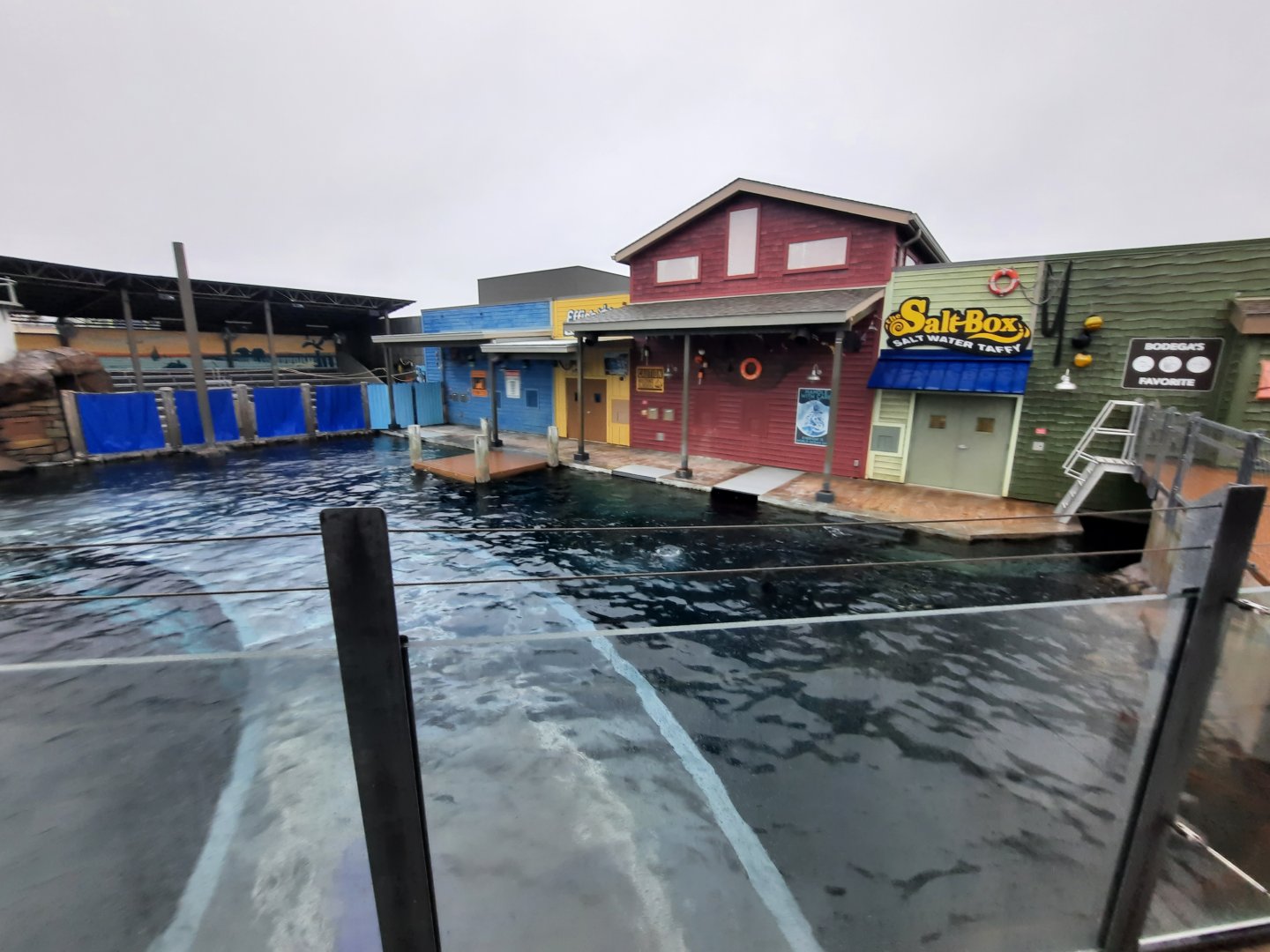 Adventure Cove - California Sea Lion Exhibit