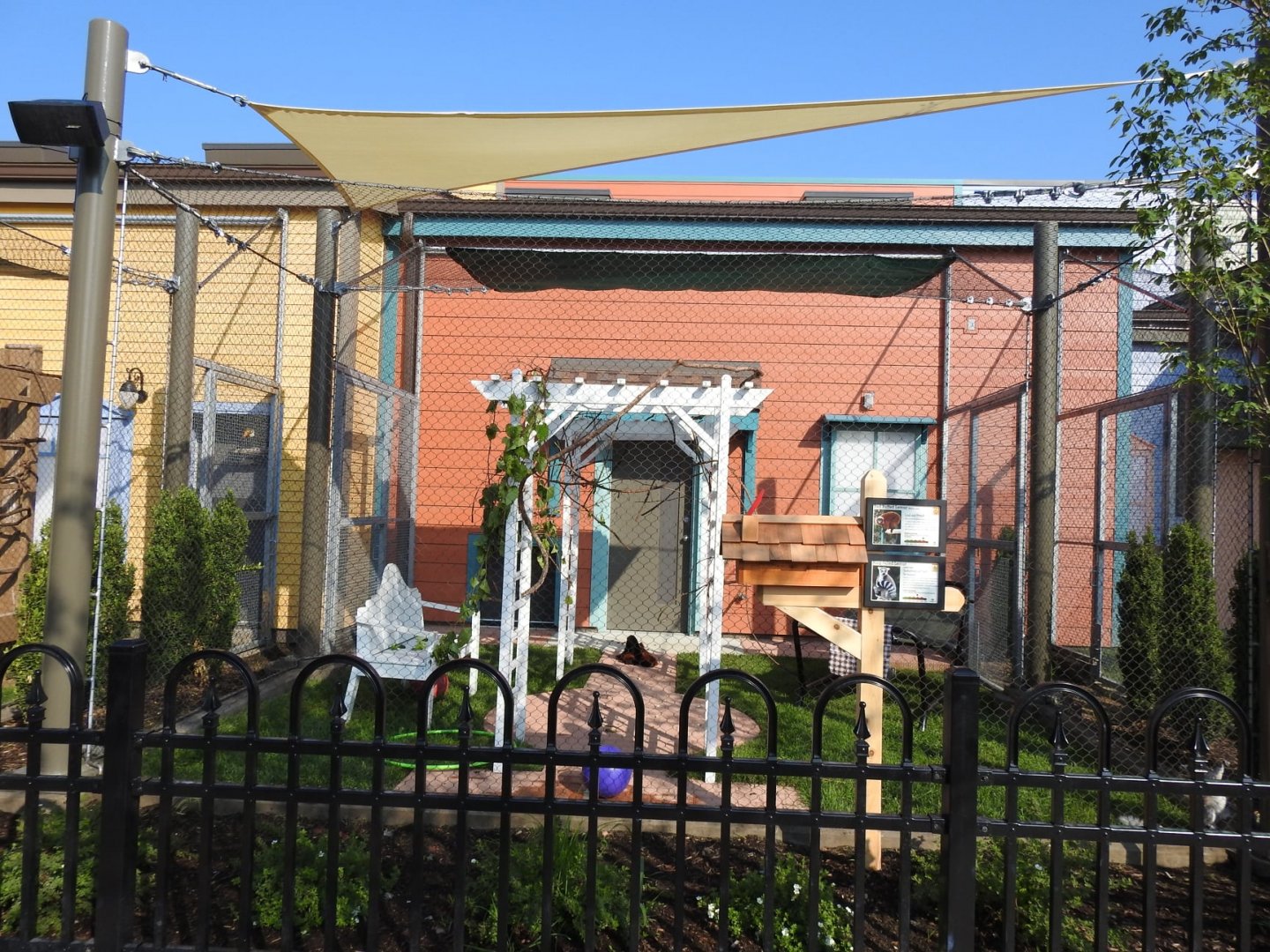 Adventure Cove July 2020: Animal Ambassador Outside Exhibit