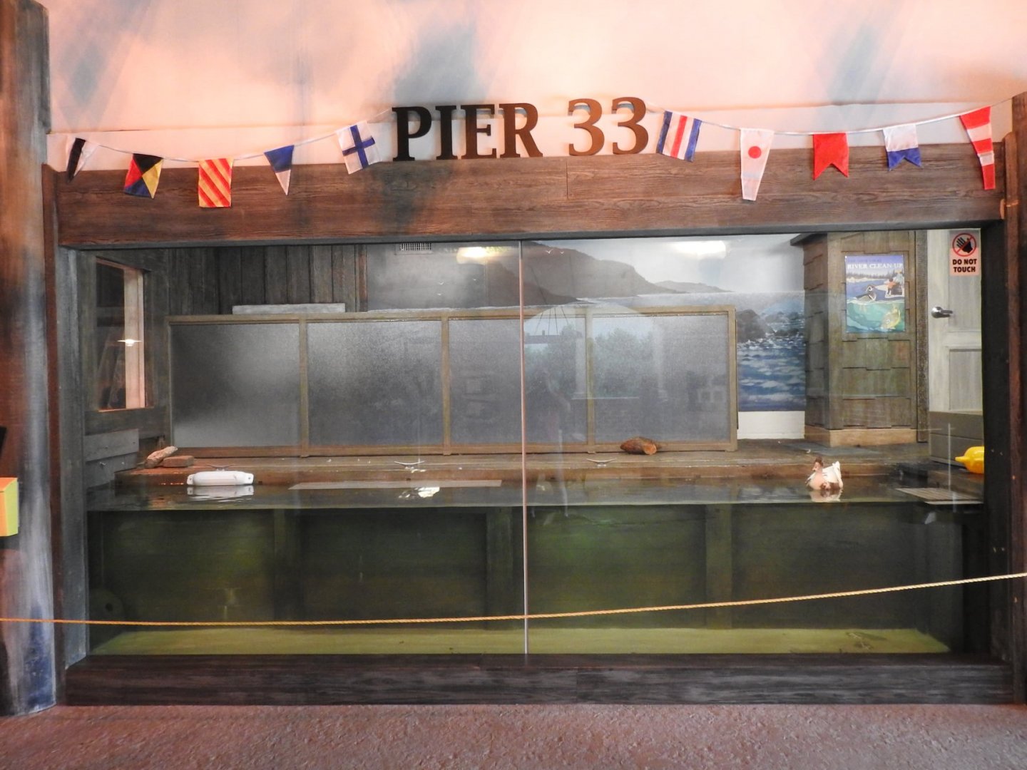 Adventure Cove July 2020: Exhibit in Animal Ambassador Building