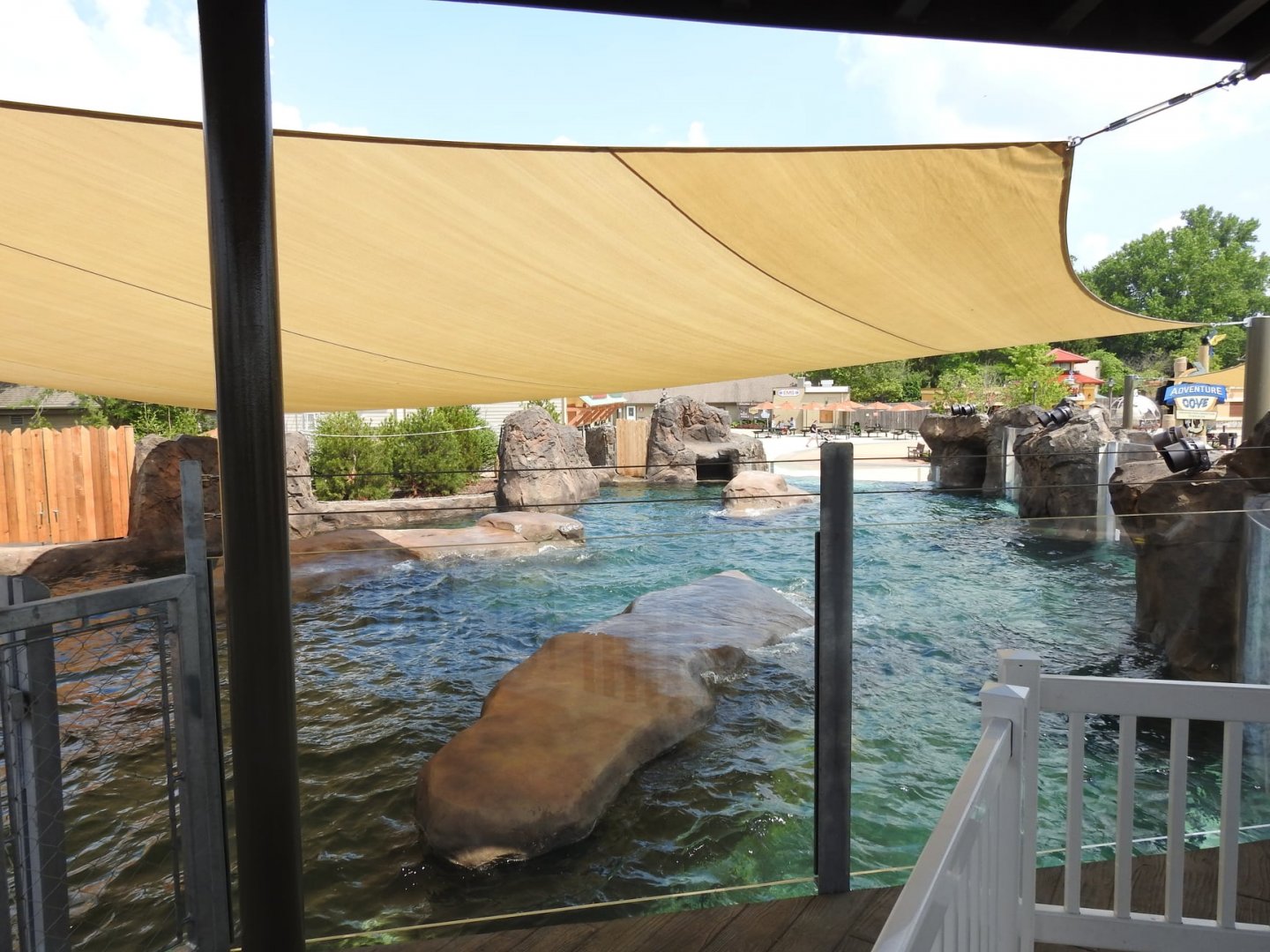 Adventure Cove July 2020: One side of Sea Lion/Seal Exhibit