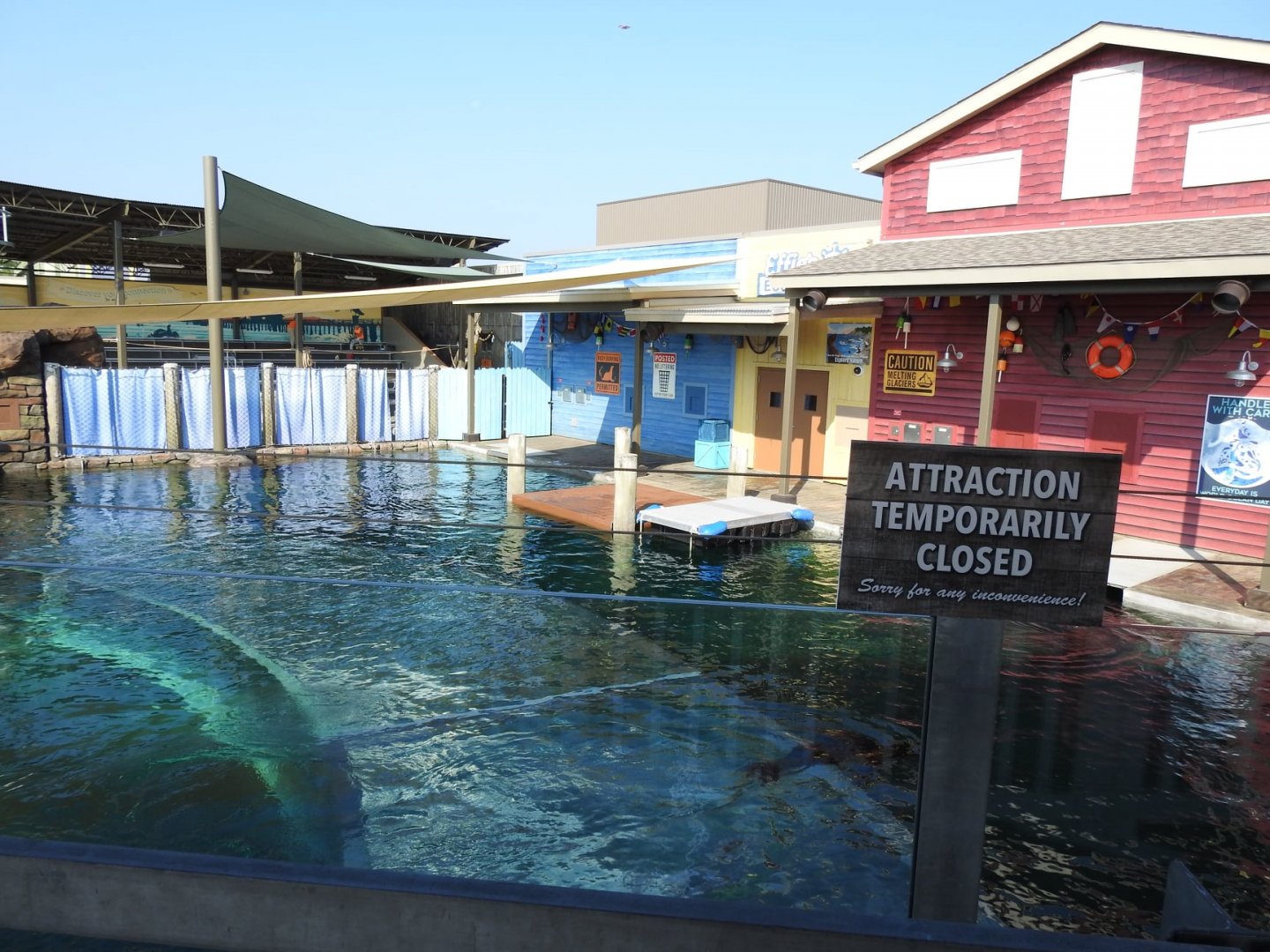 Adventure Cove July 2020: Other Side of Pinniped Exhibit