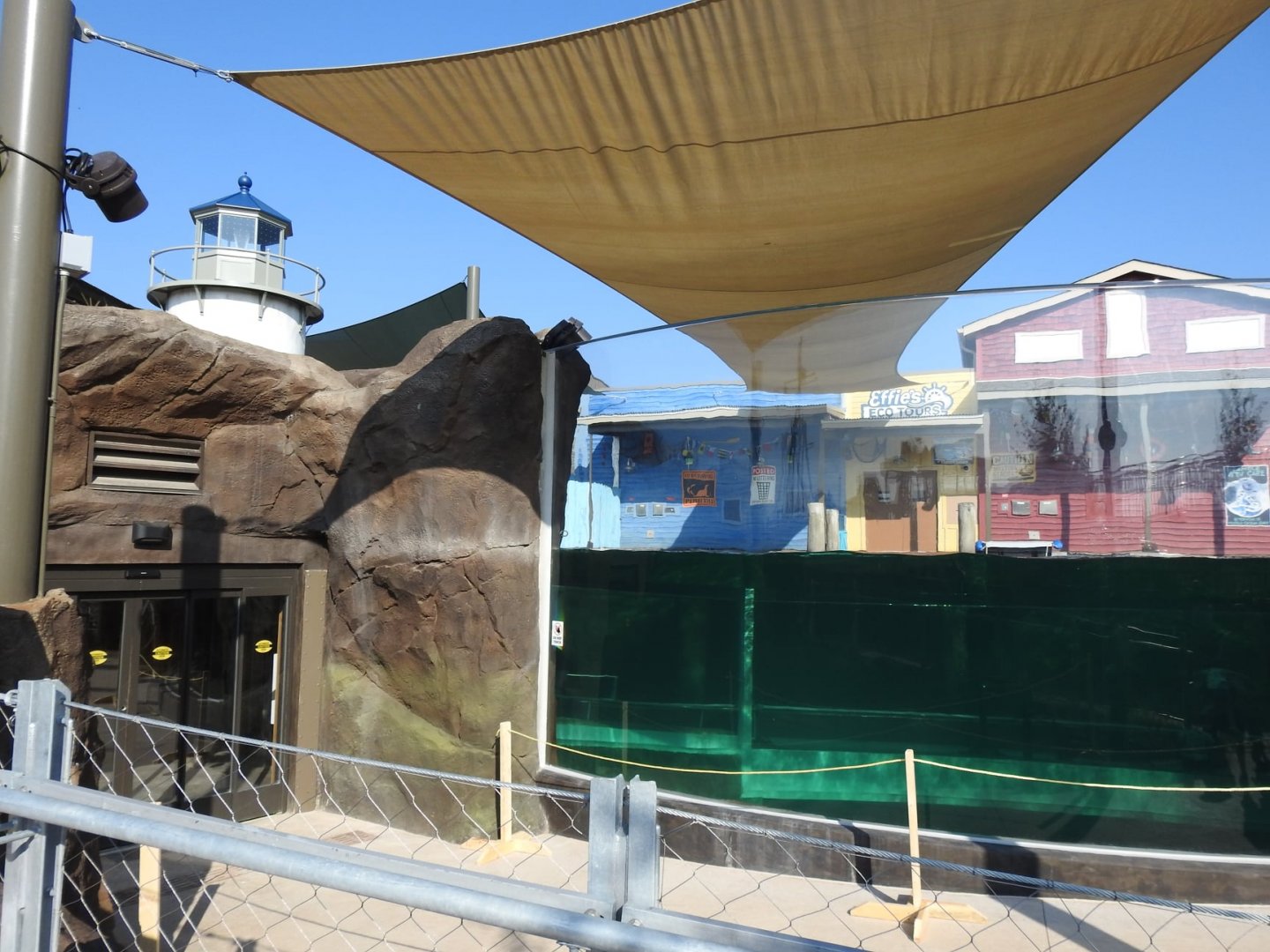 Adventure Cove July 2020: Pinniped Exhibit
