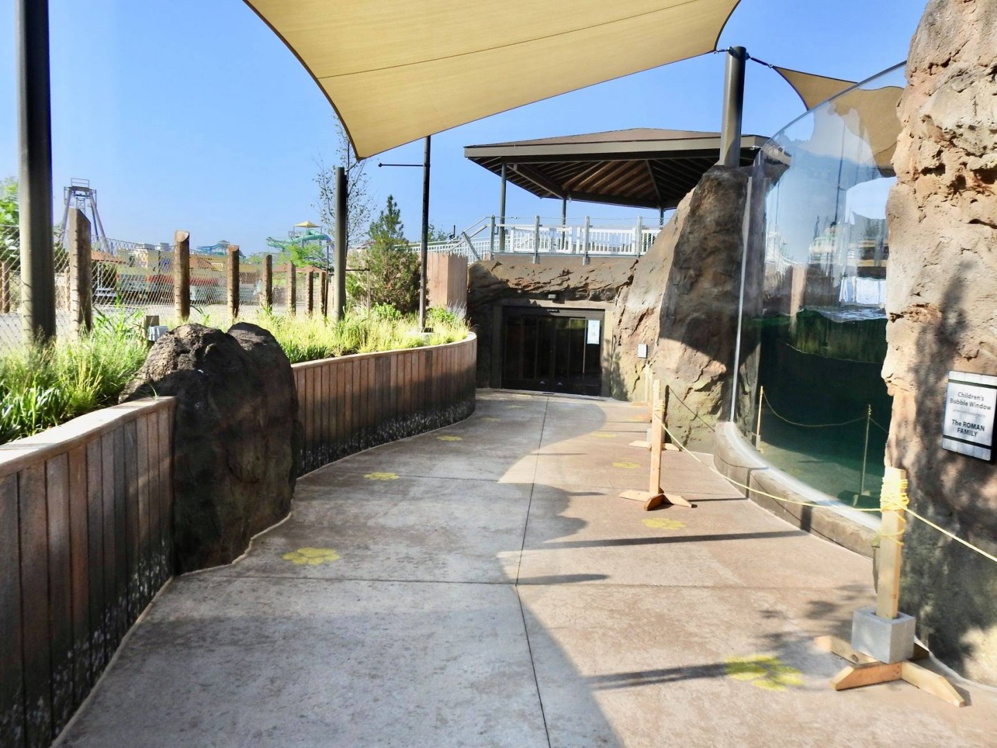 Adventure Cove July 2020: Pinniped Exhibit