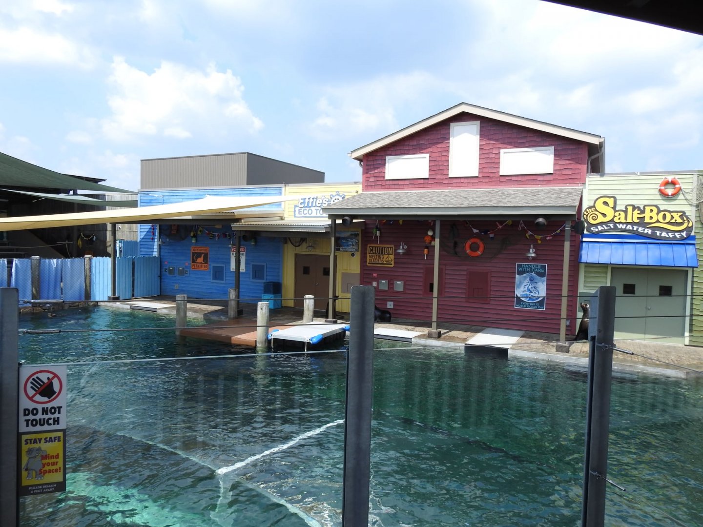 Adventure Cove July 2020: Pinniped Exhibit