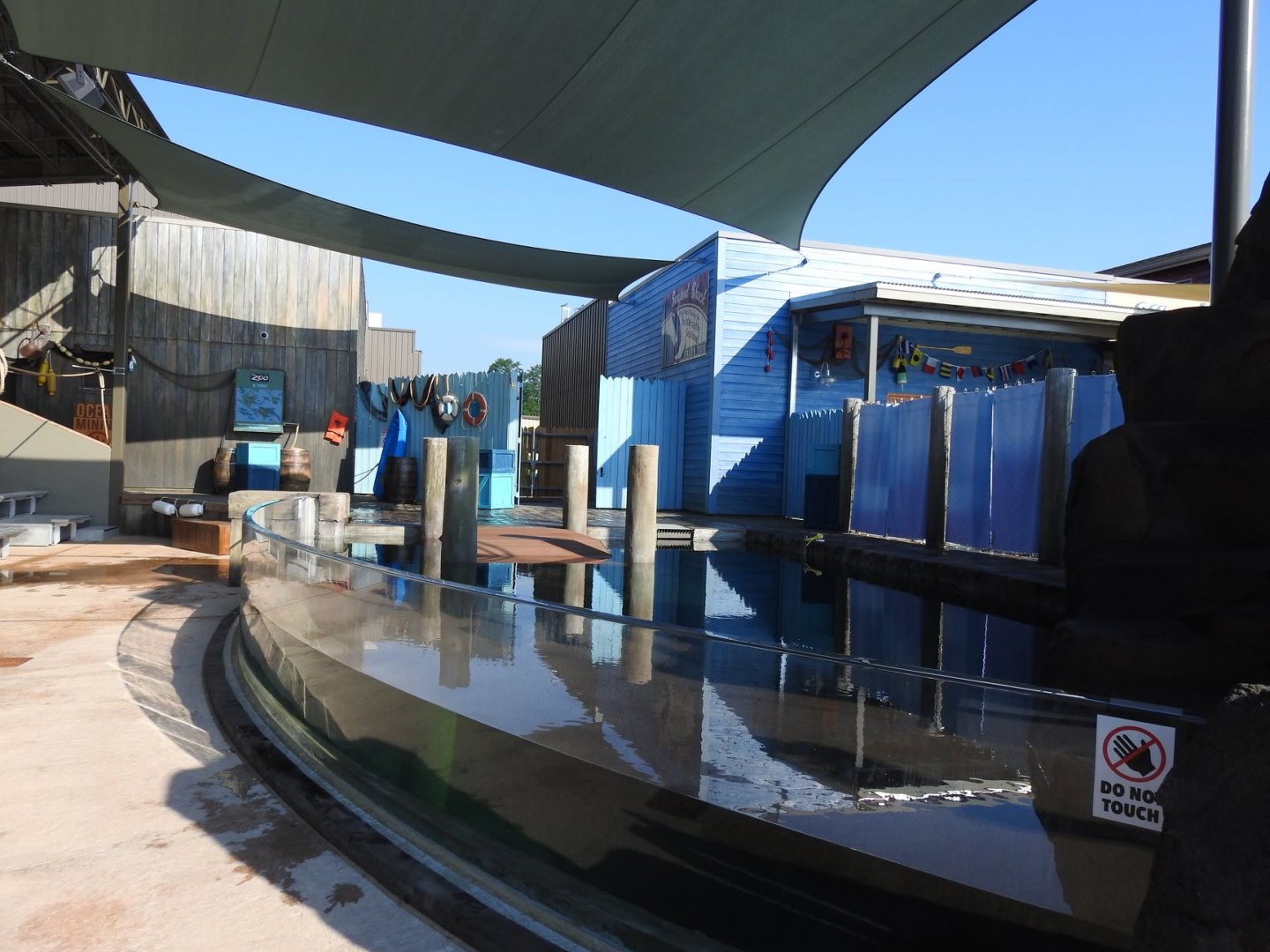 Adventure Cove July 2020: Show Presentation Pool