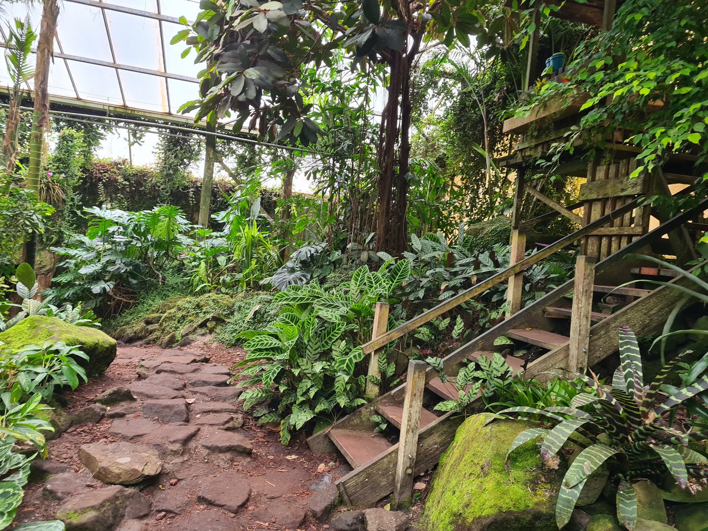 Adventure path and watchtower in "Amazon" hall