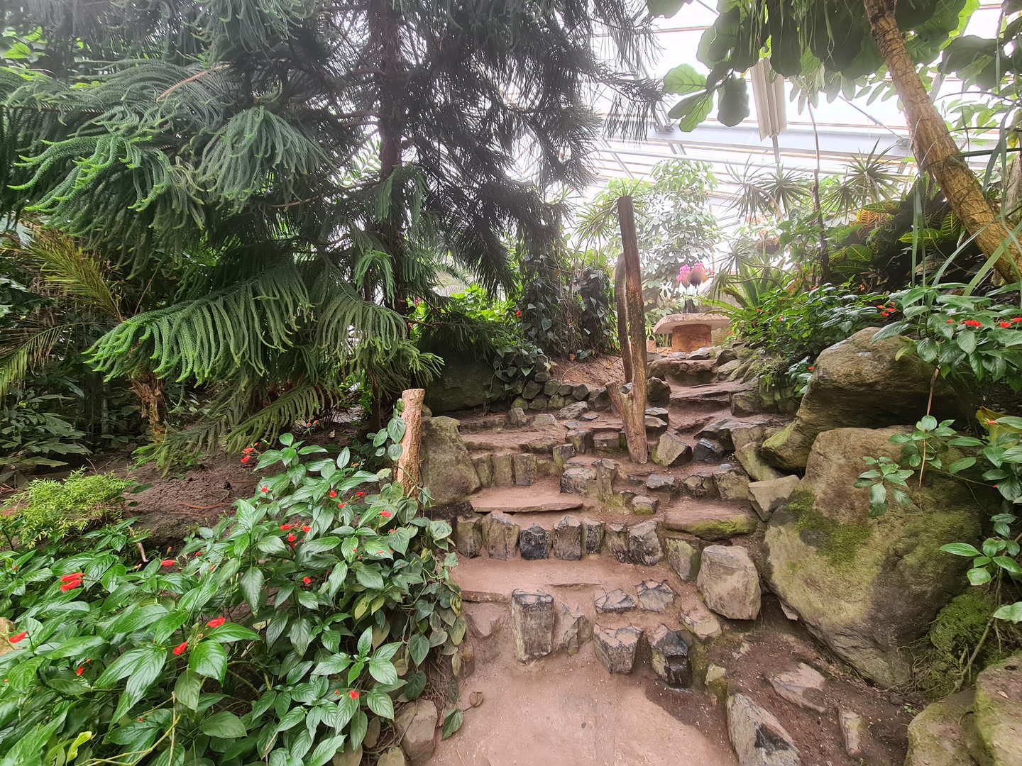 Adventure path in Butterfly valley