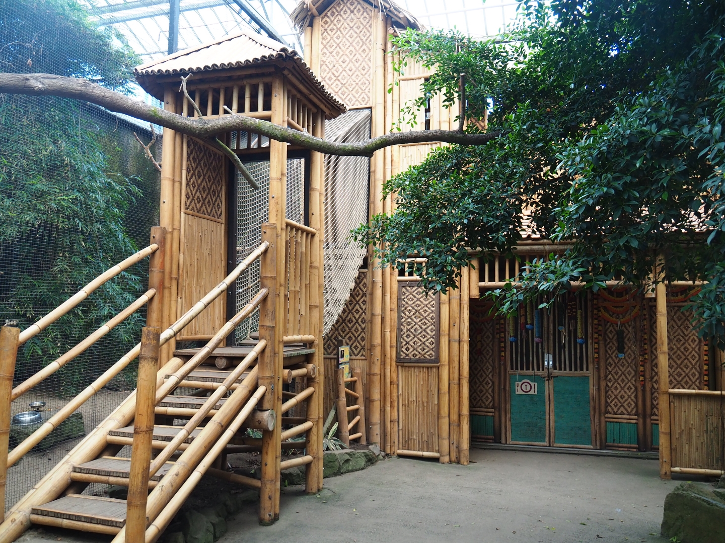 Adventure route and exit doors (Jan 20th, 2019)