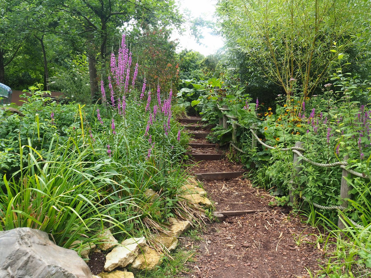 Adventure route in gardens, 2023-07-18