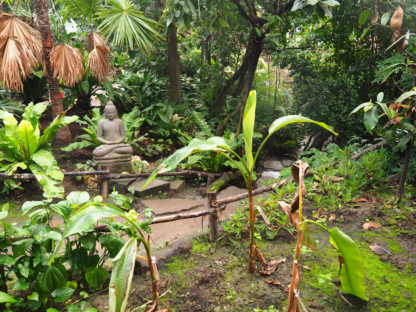 Adventure route in the orangutan greenhouse, 2022-08-07