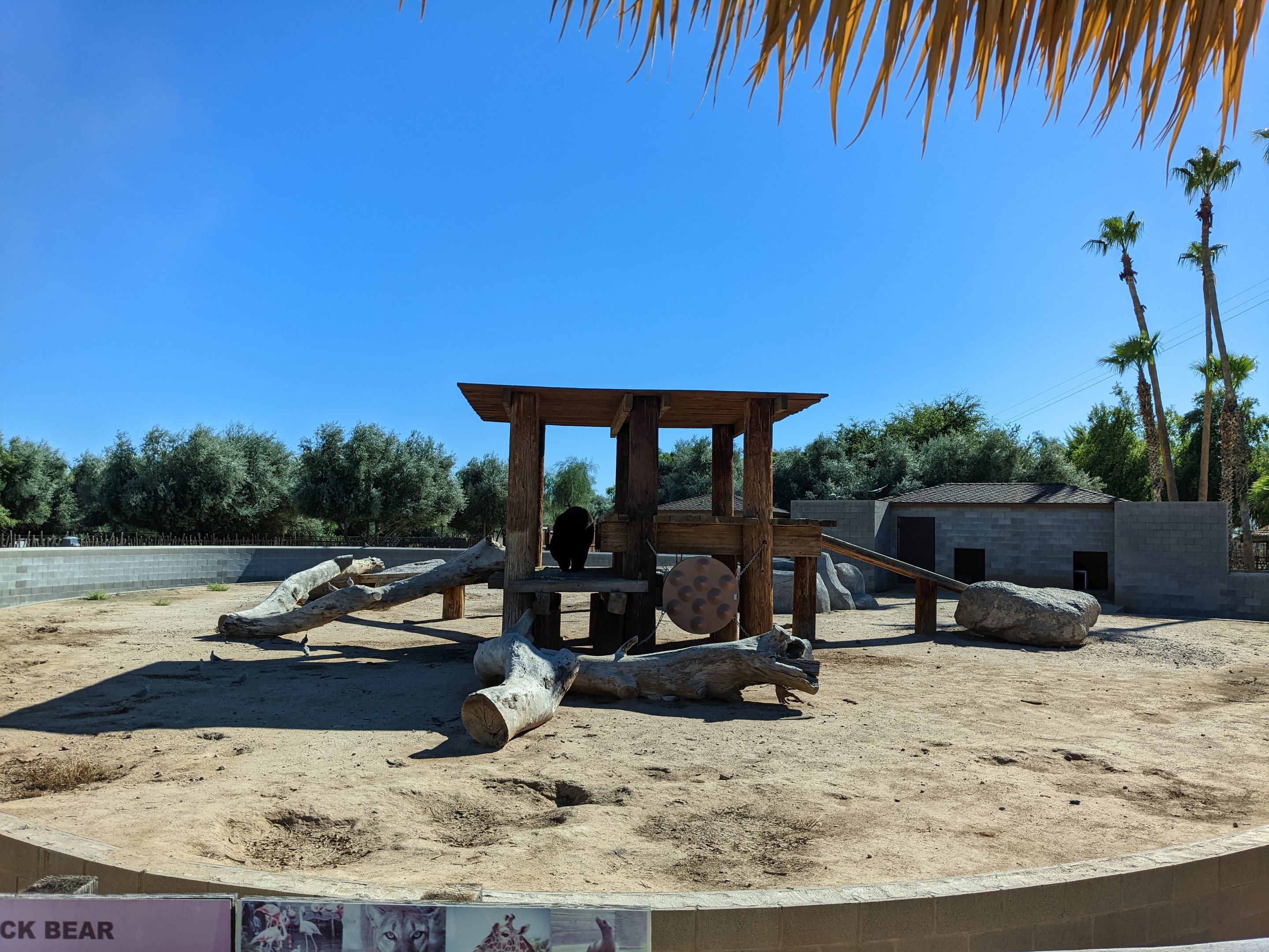 Adventureland - American black bear