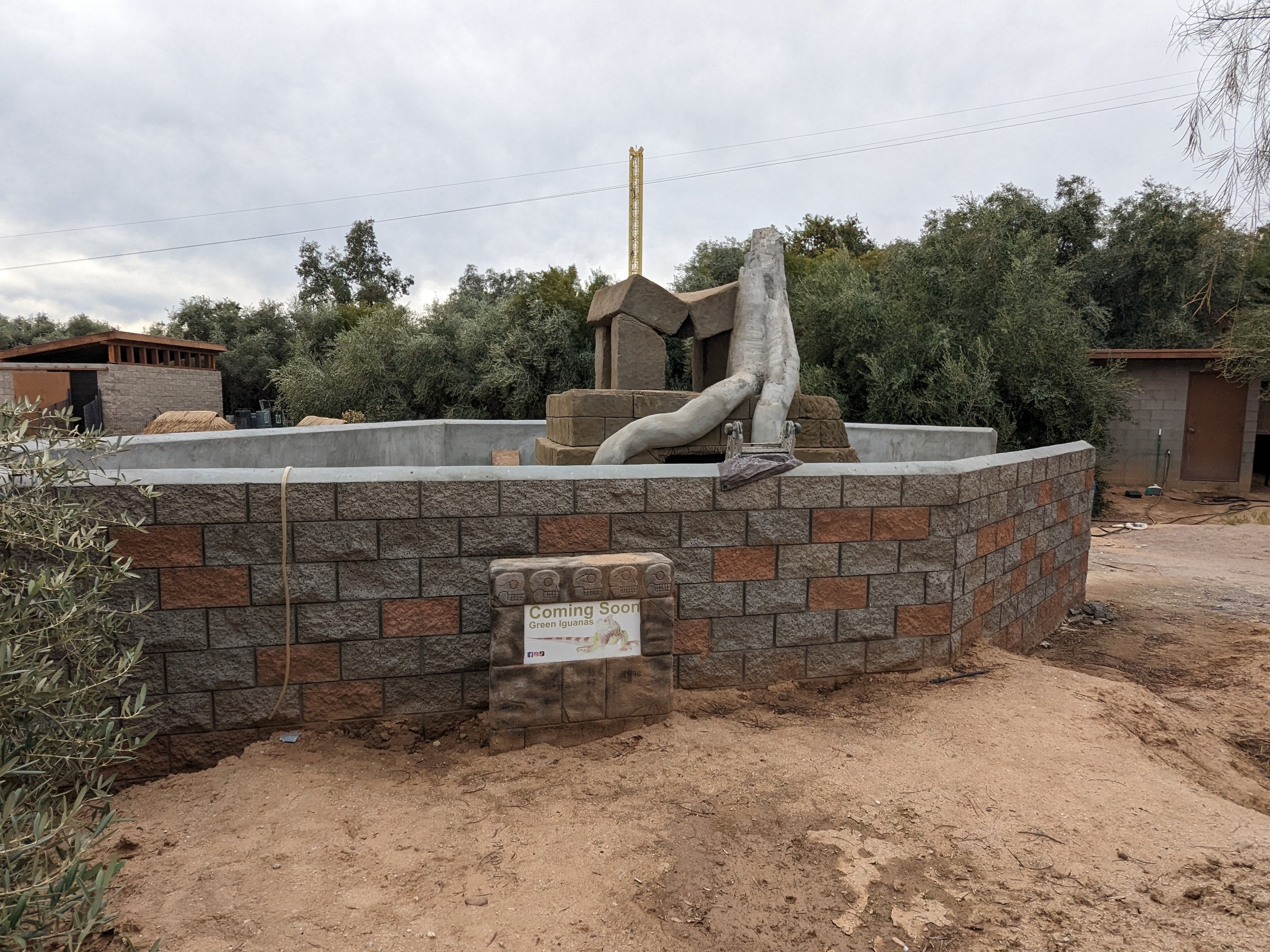 Adventureland - Construction green iguana