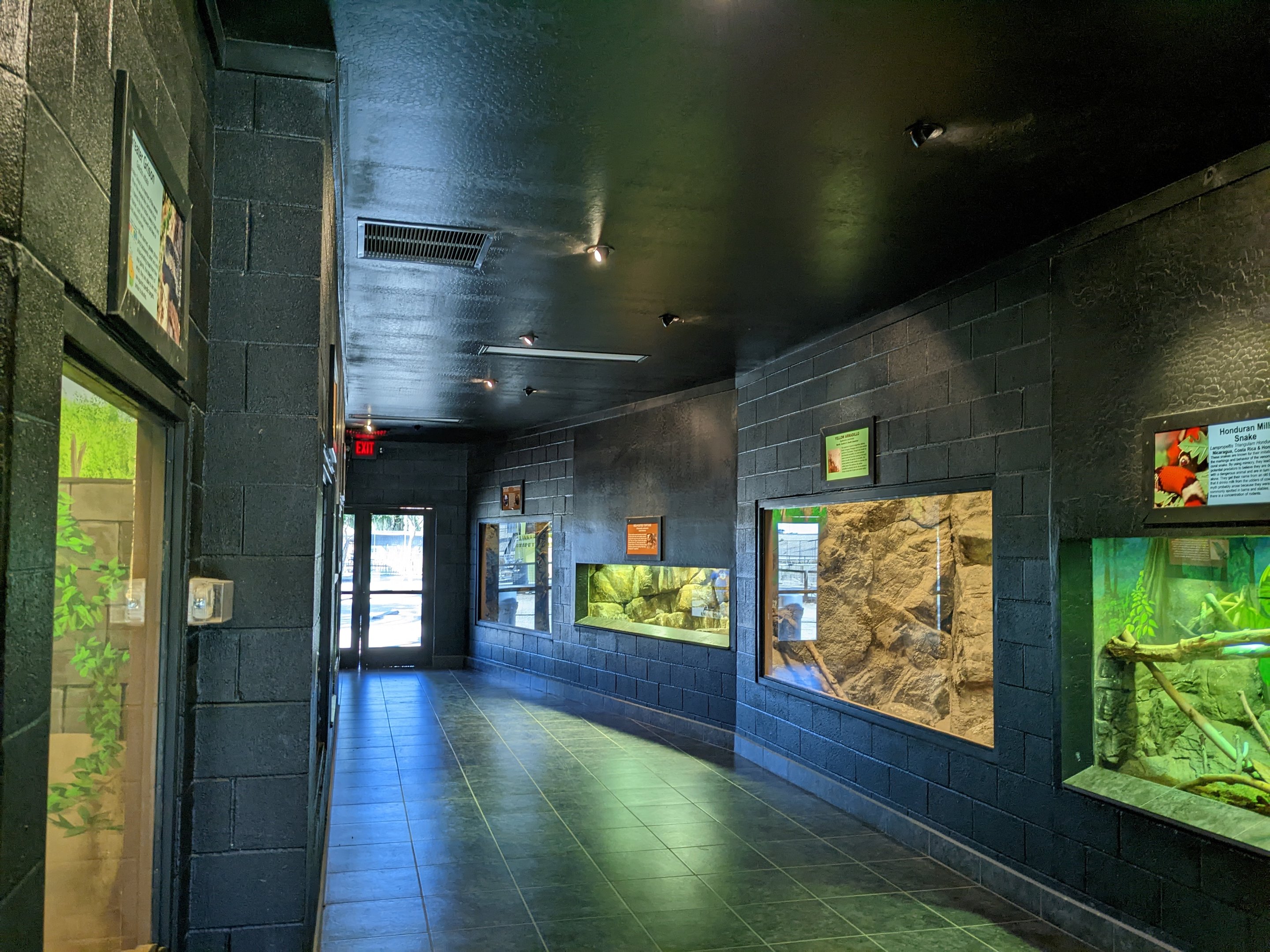 Adventureland - "South American Critter" house gallery