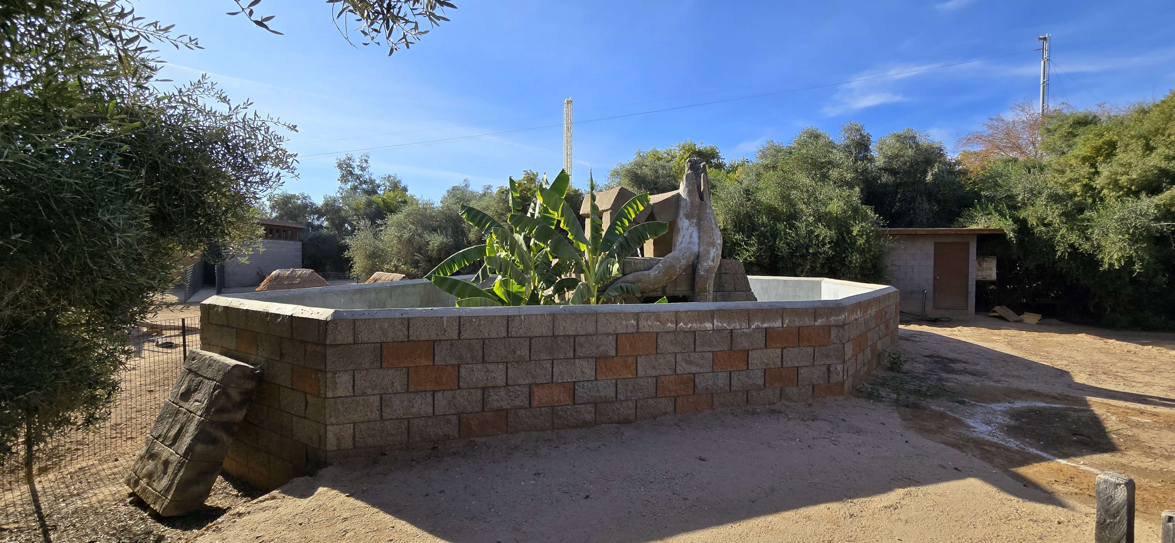 Adventureland - UC Green Iguana