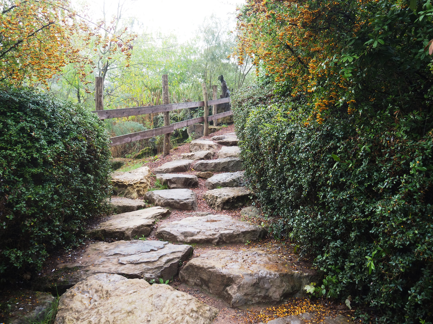 Adventurous road from giraffe and hyena viewing area to upper levels of The Land of Origins, 2022-09-15